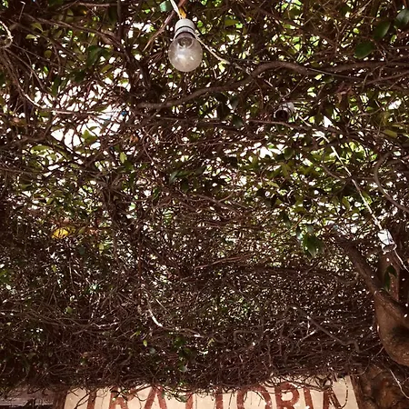 Casa A